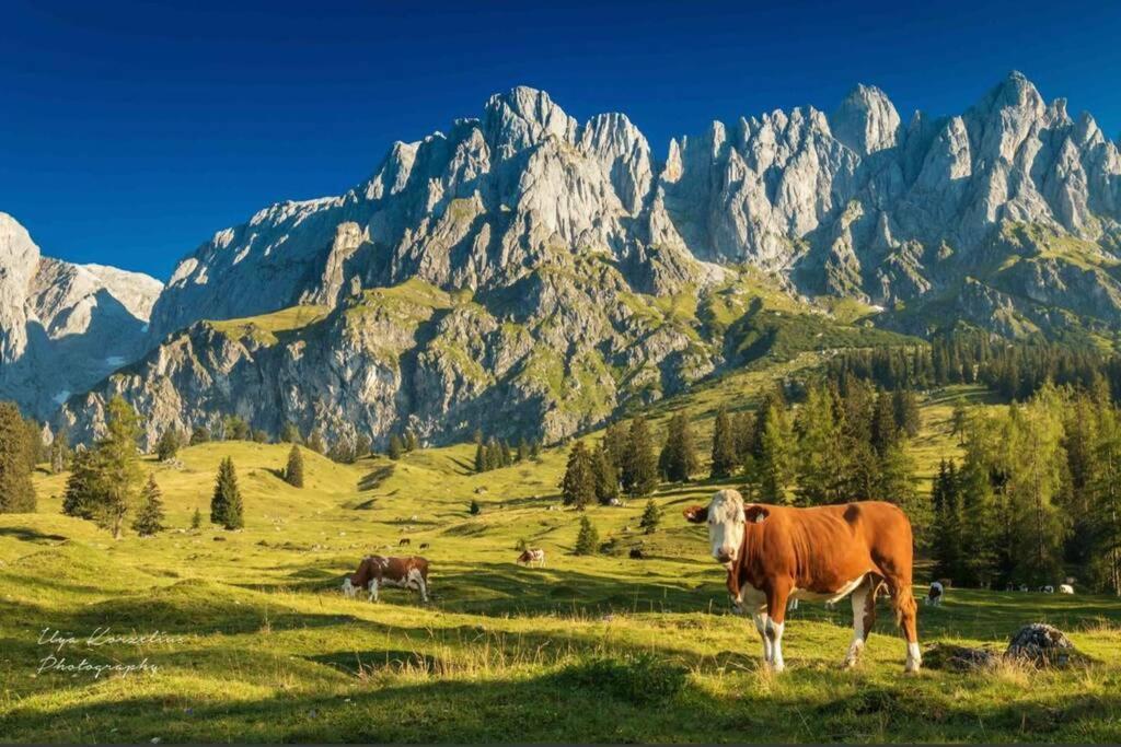 Hochkoenig Ferien Διαμέρισμα Mühlbach am Hochkönig Εξωτερικό φωτογραφία