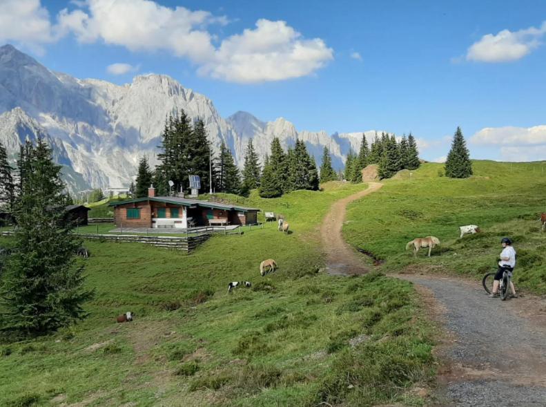 Hochkoenig Ferien Διαμέρισμα Mühlbach am Hochkönig Εξωτερικό φωτογραφία